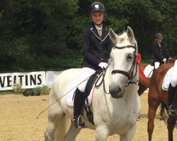 dressage horse Lotte 922 (unknown, 2006)