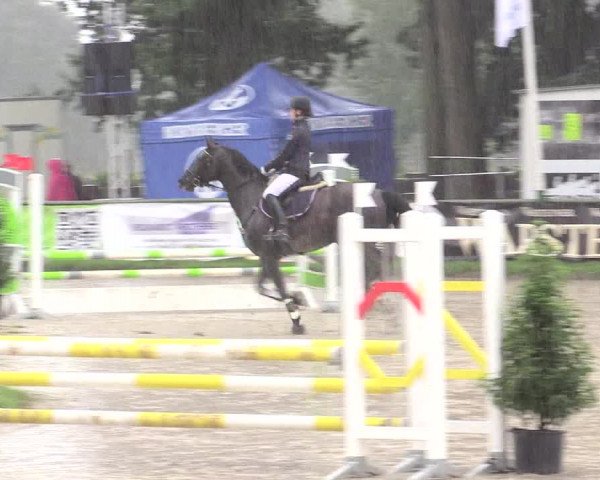 Reitturnier Datteln 2015