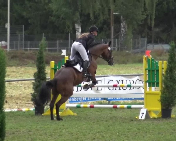 Gültsteiner Springtage 2015