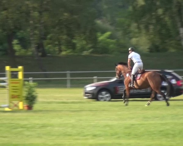Reitturnier Gardelegen 2015