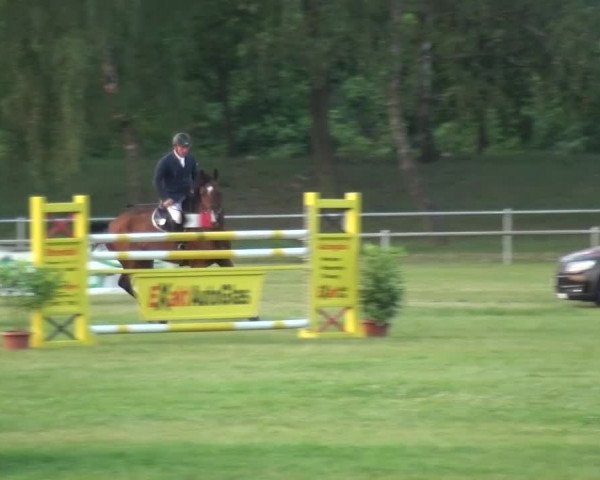 Reitturnier Gardelegen 2015