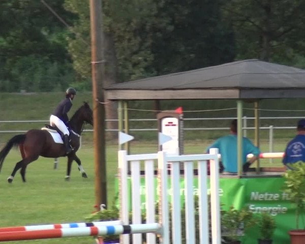 Reitturnier Gardelegen 2015