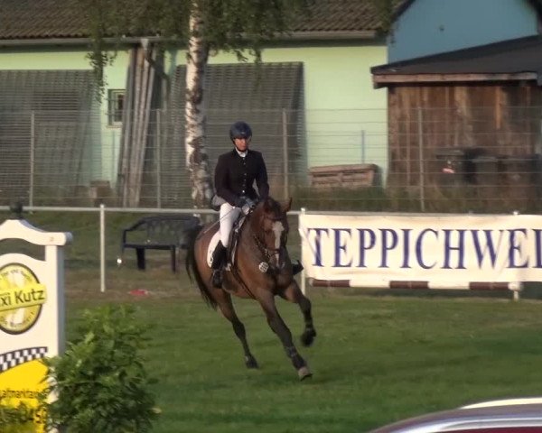 Reitturnier Gardelegen 2015