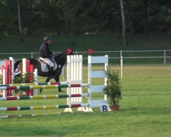 Reitturnier Gardelegen 2015