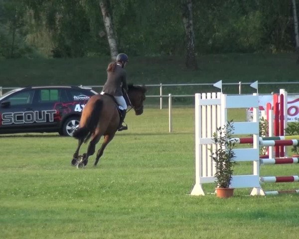 Reitturnier Gardelegen 2015