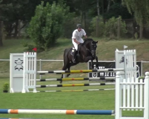 Reitturnier Gardelegen 2015