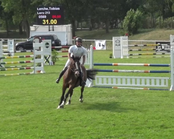 Reitturnier Gardelegen 2015