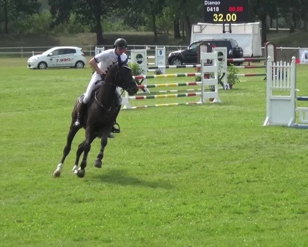 Reitturnier Gardelegen 2015