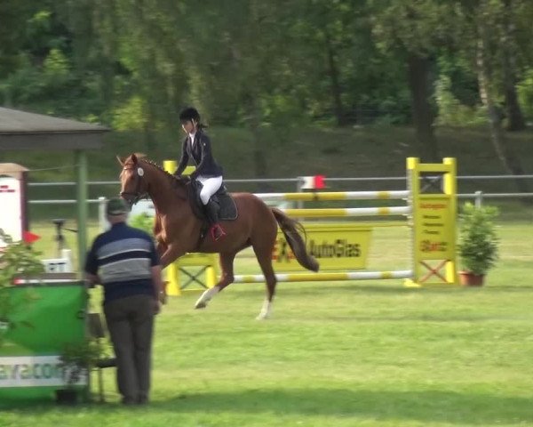 Reitturnier Gardelegen 2015
