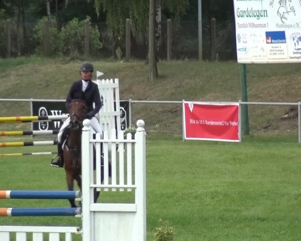 Reitturnier Gardelegen 2015