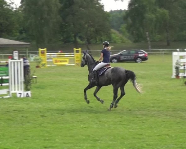 Reitturnier Gardelegen 2015