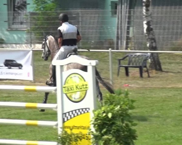 Reitturnier Gardelegen 2015