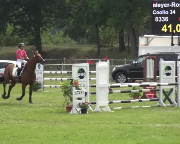 Reitturnier Gardelegen 2015