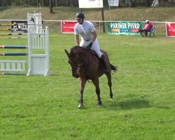 Reitturnier Gardelegen 2015