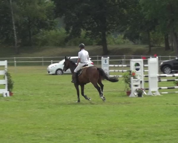 Reitturnier Gardelegen 2015