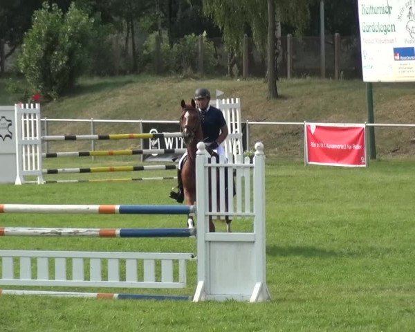 Reitturnier Gardelegen 2015