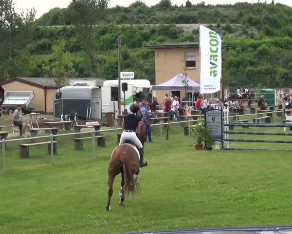 Reitturnier Gardelegen 2015