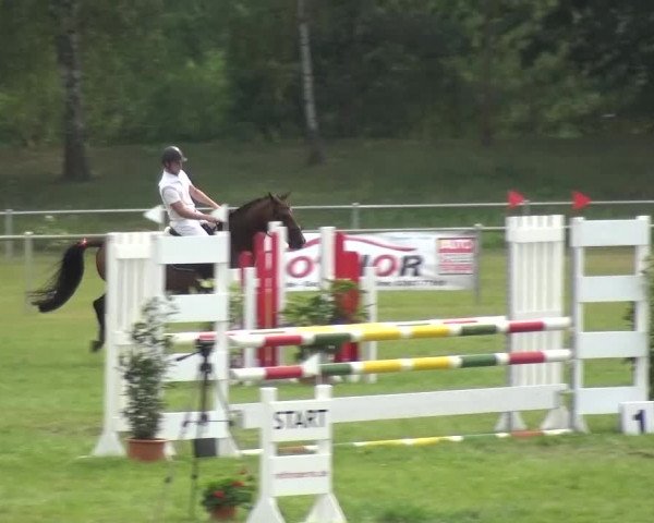 Reitturnier Gardelegen 2015