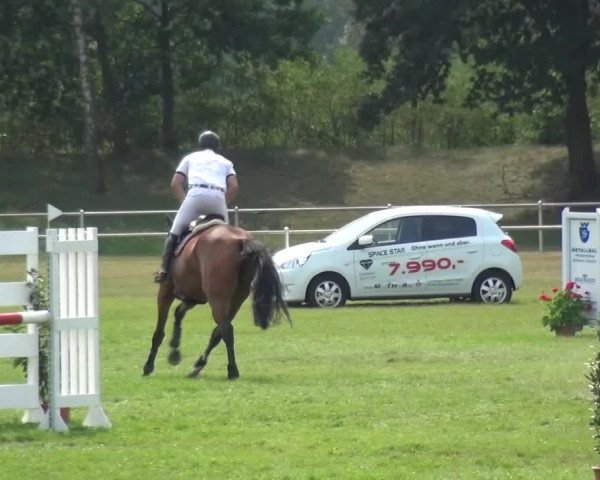 Reitturnier Gardelegen 2015