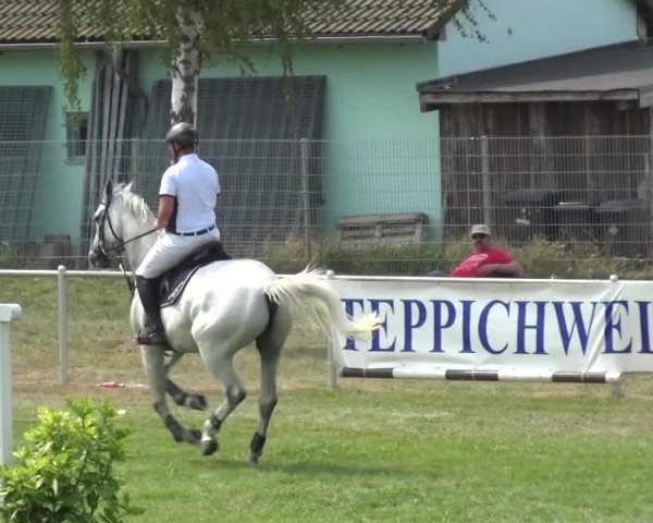 Reitturnier Gardelegen 2015