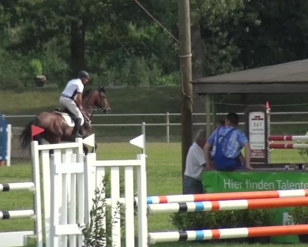 Reitturnier Gardelegen 2015