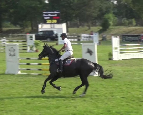 Reitturnier Gardelegen 2015