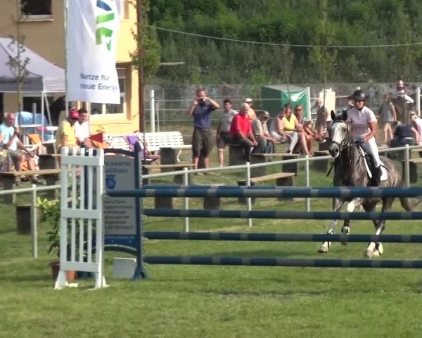 Reitturnier Gardelegen 2015
