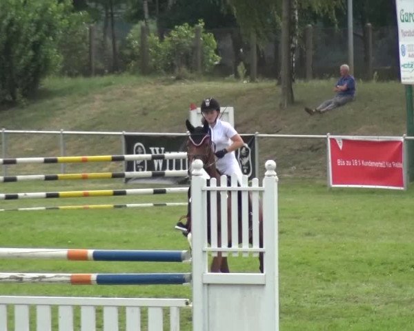 Reitturnier Gardelegen 2015