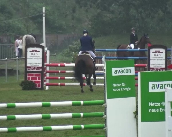 Reitturnier Gardelegen 2015