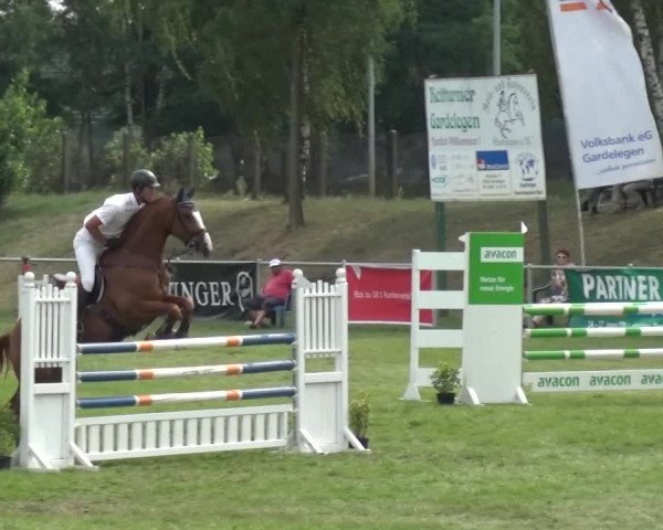Reitturnier Gardelegen 2015
