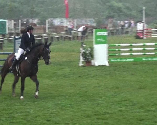 Reitturnier Gardelegen 2015