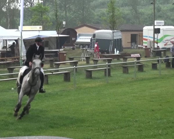 Reitturnier Gardelegen 2015