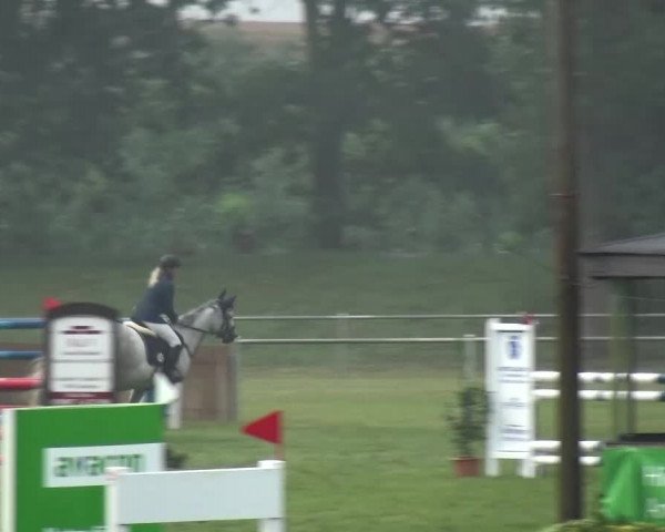 Reitturnier Gardelegen 2015