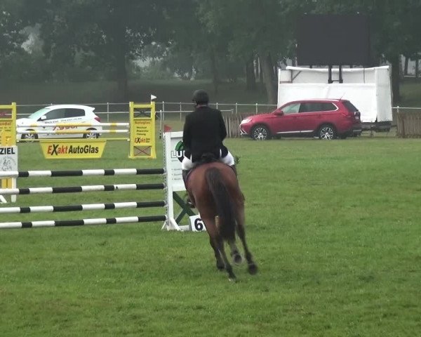 Reitturnier Gardelegen 2015