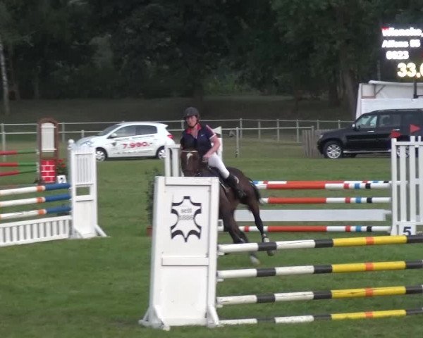 Reitturnier Gardelegen 2015