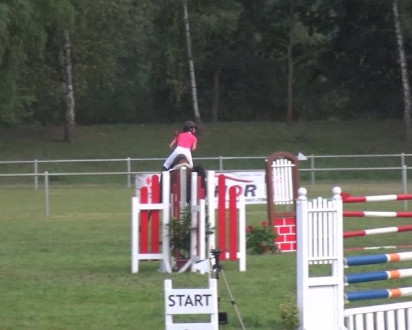 Reitturnier Gardelegen 2015