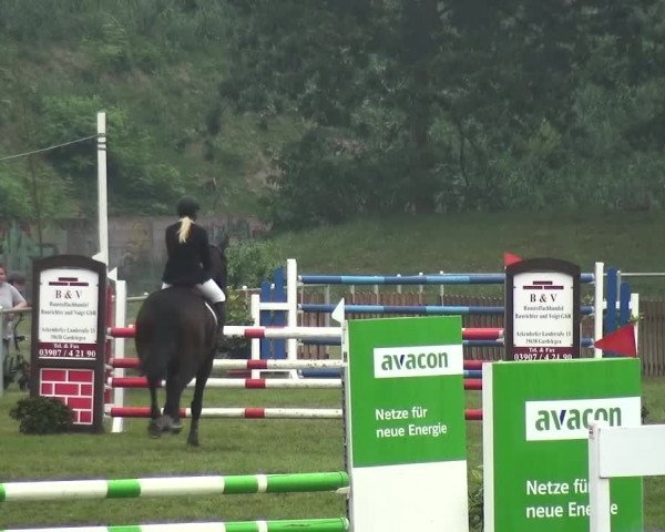 Reitturnier Gardelegen 2015