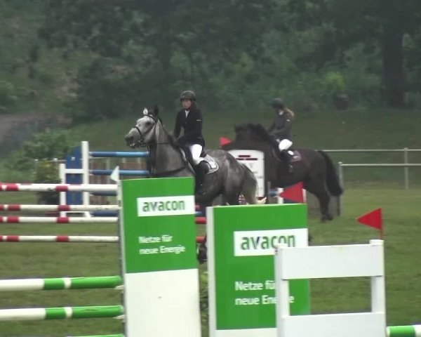 Reitturnier Gardelegen 2015