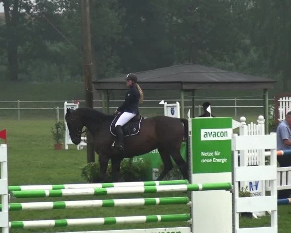 Reitturnier Gardelegen 2015