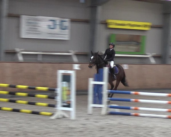 Reitturnier Pasewalk 2021