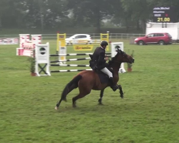 Reitturnier Gardelegen 2015