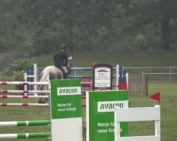 Reitturnier Gardelegen 2015