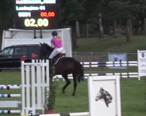 Reitturnier Gardelegen 2015