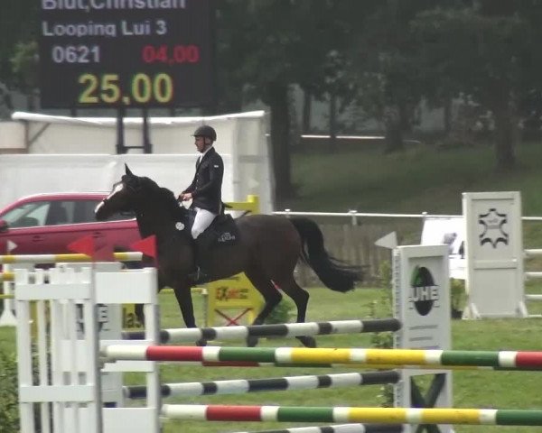 Reitturnier Gardelegen 2015