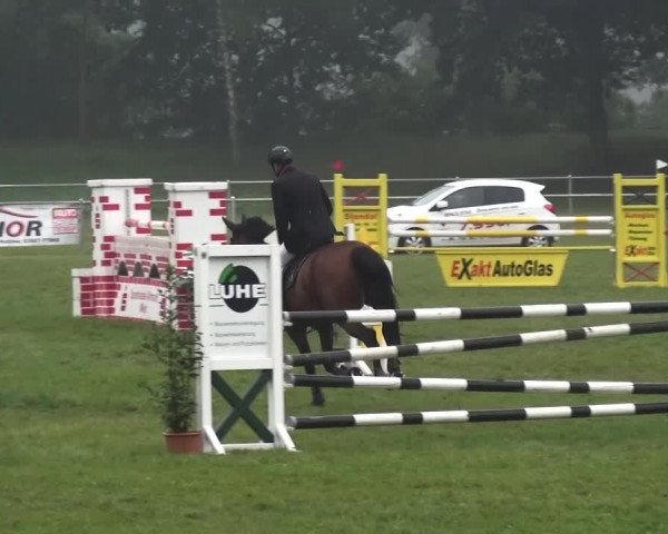 Reitturnier Gardelegen 2015