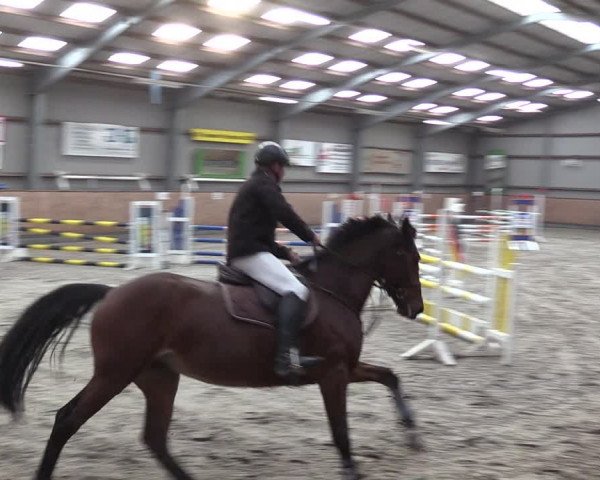 Reitturnier Pasewalk 2021