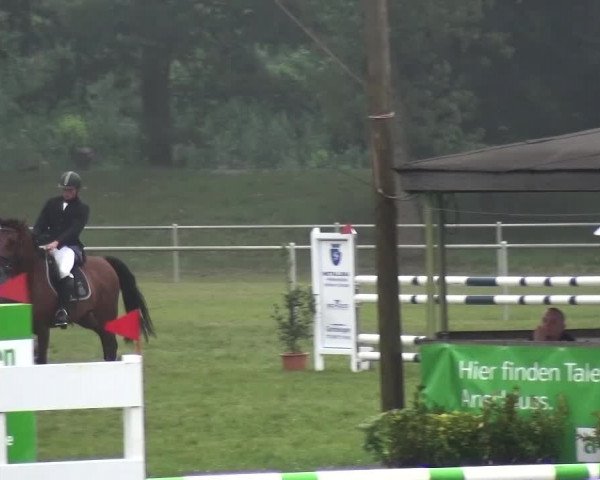 Reitturnier Gardelegen 2015