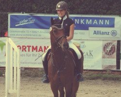 broodmare Carlita 5 (Holsteiner, 2005, from Carland)
