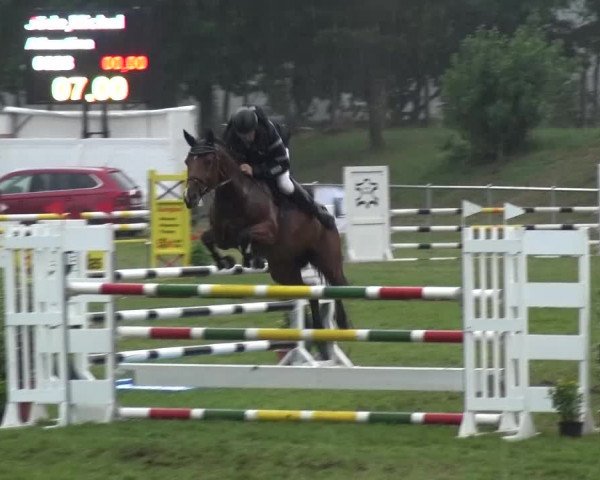 Reitturnier Gardelegen 2015