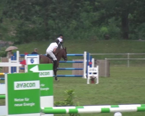 Reitturnier Gardelegen 2015
